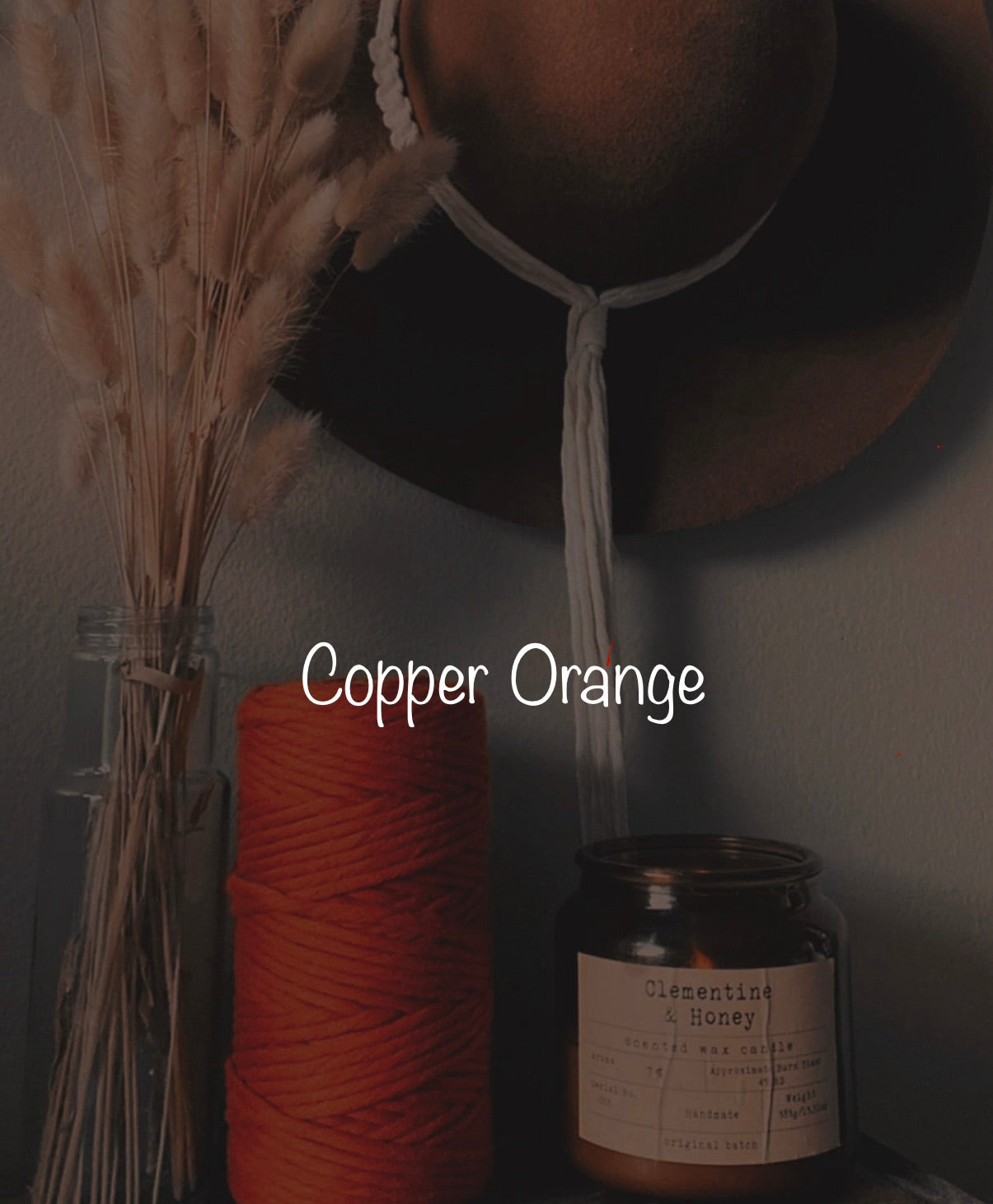 Learn to Macrame | Air Plant Hanger Class | Macrame Workshop | Make and Take Class