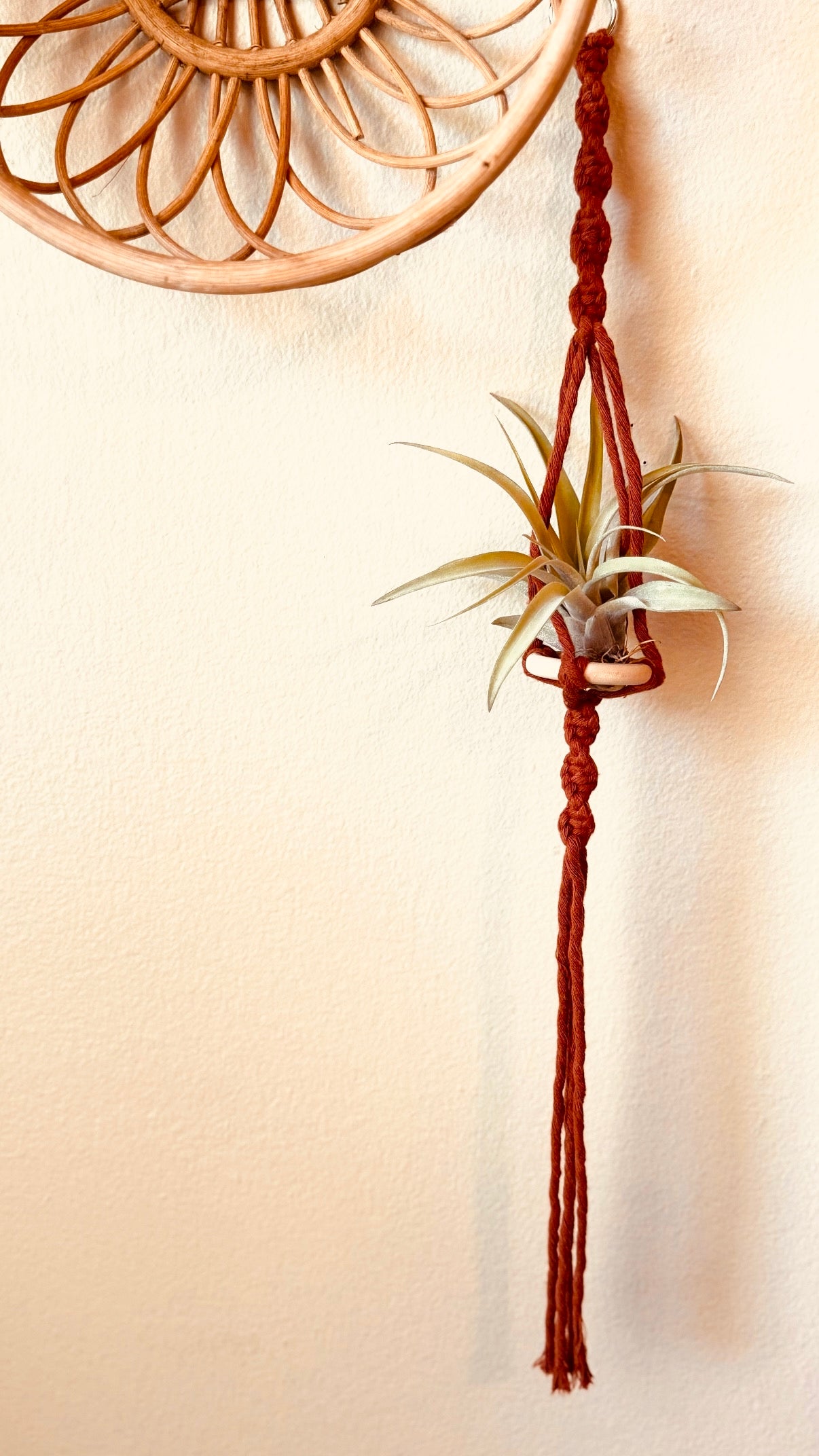 macrame plant hanger class Learn to Macrame | Air Plant Hanger Class | Macrame Workshop