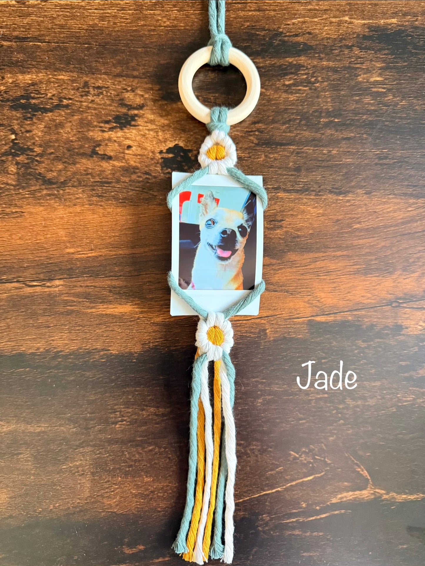 Learn to Macrame | Daisy Polaroid Hanger Class | Macrame Workshop | Make and Take Class