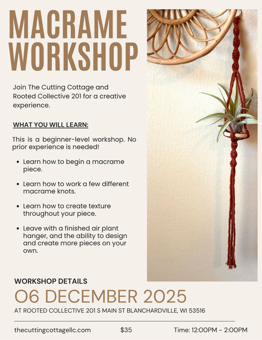 Learn to Macrame | Air Plant Hanger Class | Macrame Workshop | Make and Take Class