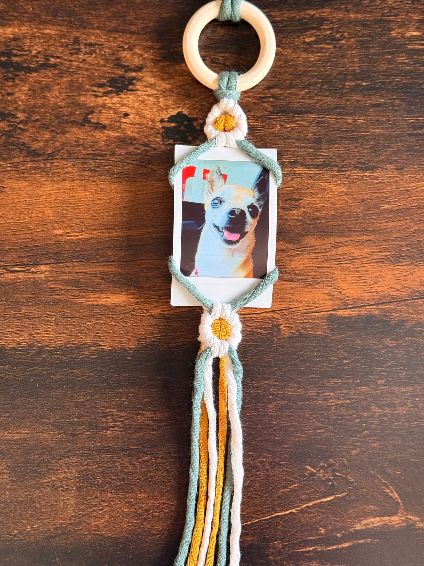 Learn to Macrame | Daisy Polaroid Hanger Class | Macrame Workshop | Make and Take Class