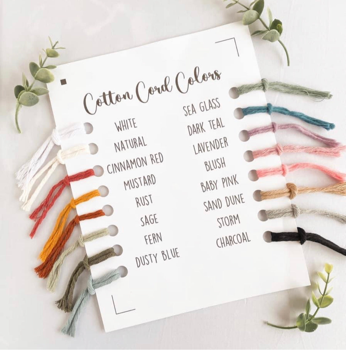 Learn to Macrame | Air Plant Hanger Class | Macrame Workshop | Make and Take Class