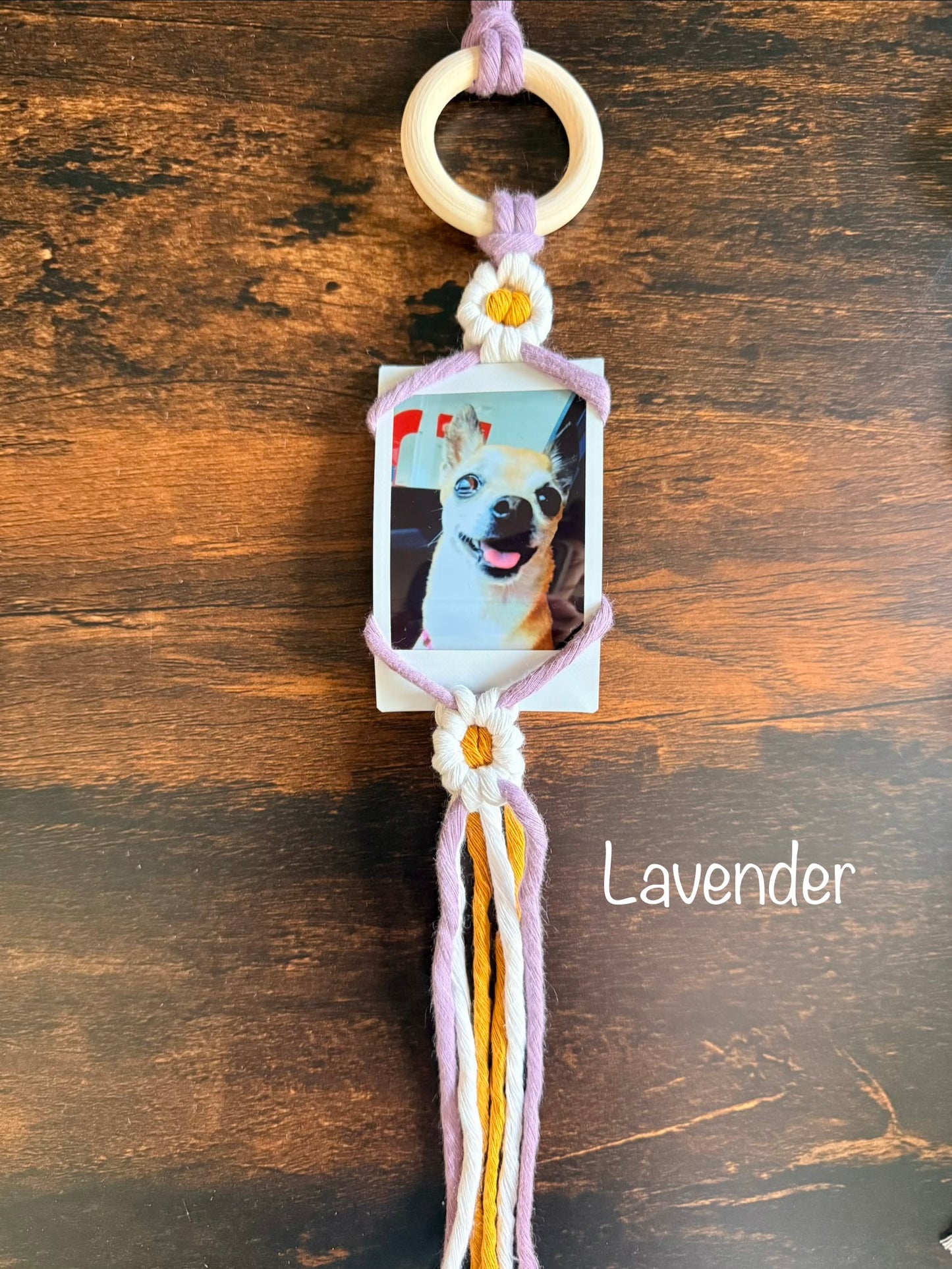 Learn to Macrame | Daisy Polaroid Hanger Class | Macrame Workshop | Make and Take Class