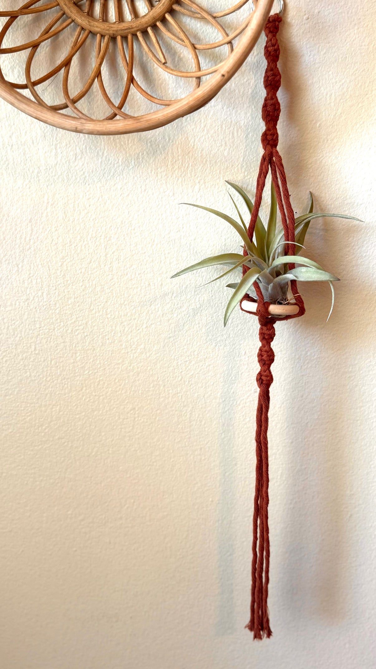 Learn to Macrame | Air Plant Hanger Class | Macrame Workshop | Make and Take Class