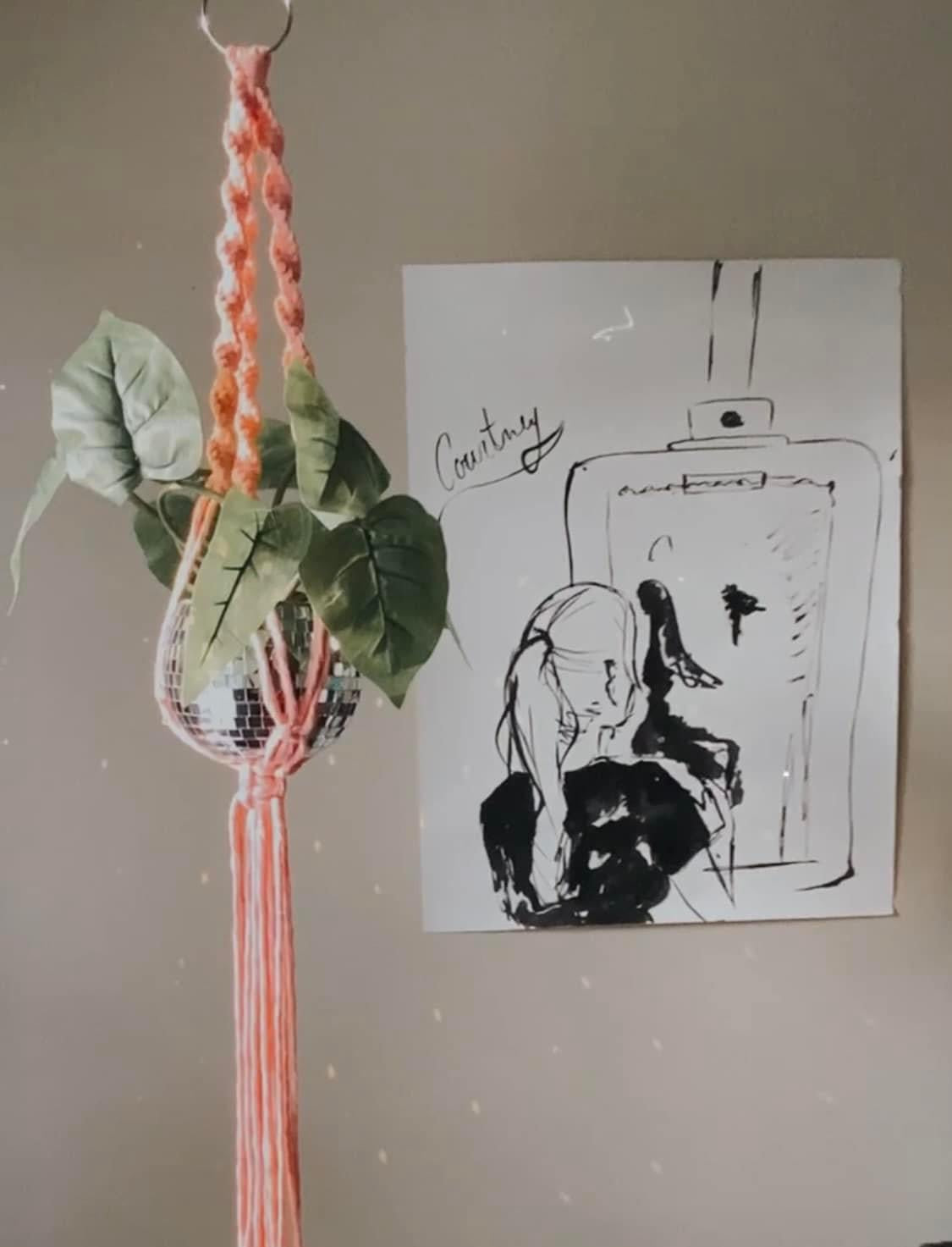 Macrame Disco Plant Hanger