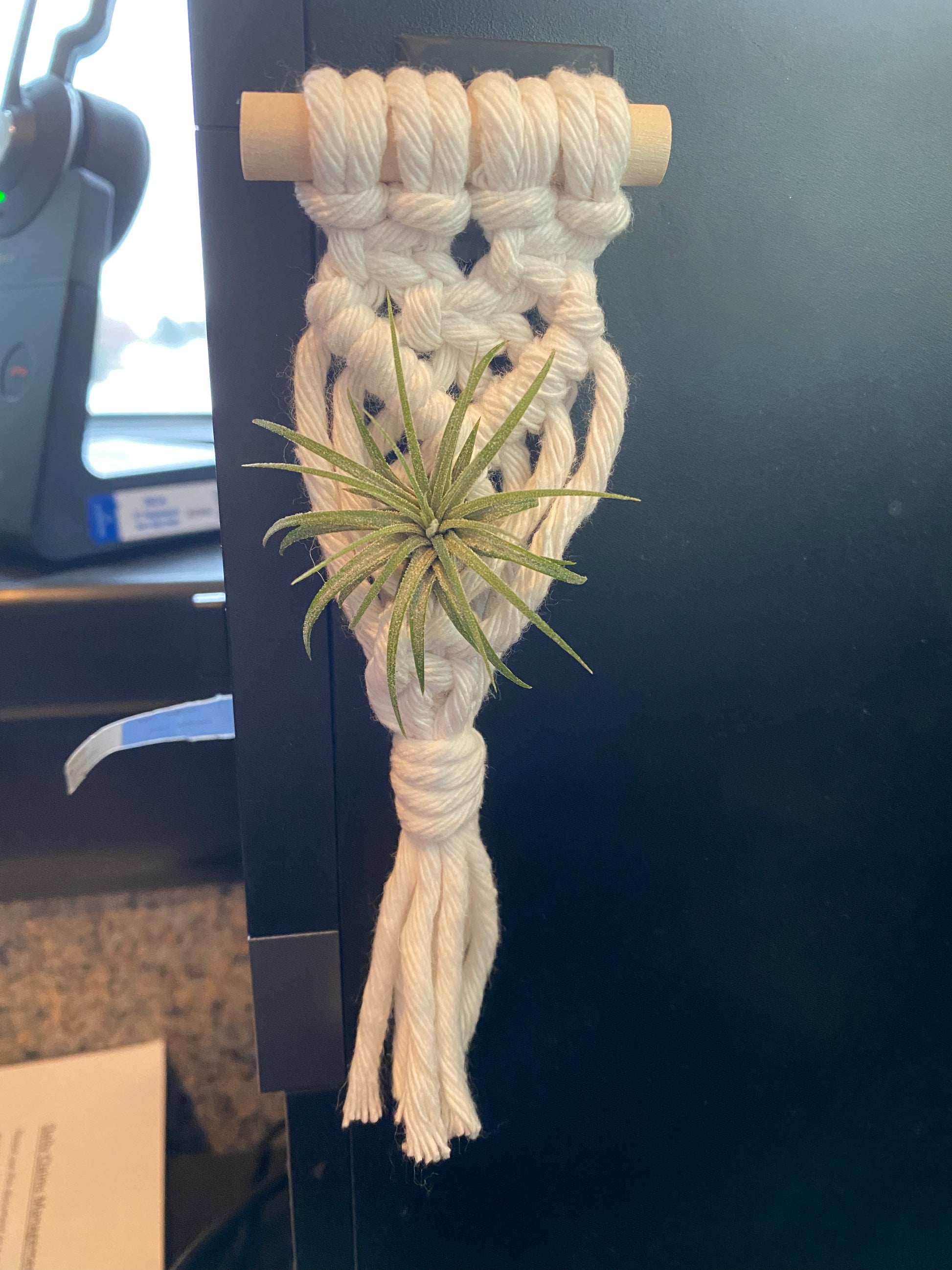 air plant magnets diy Macrame Air Plant Magnet – The Cutting Cottage LLC