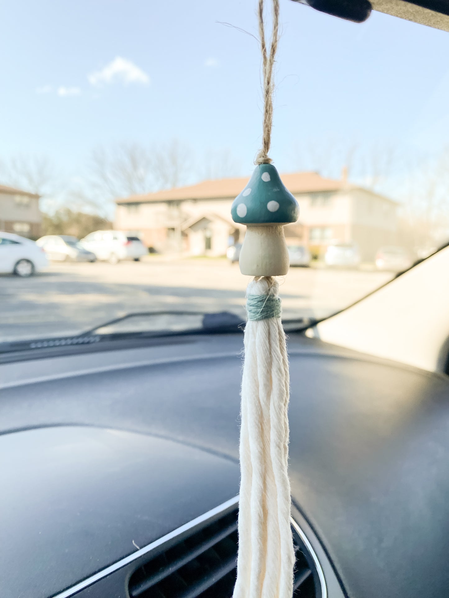 Hand-Painted Wood Mushroom Car Charm