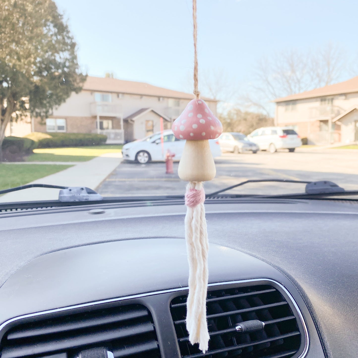 Hand-Painted Wood Mushroom Car Charm