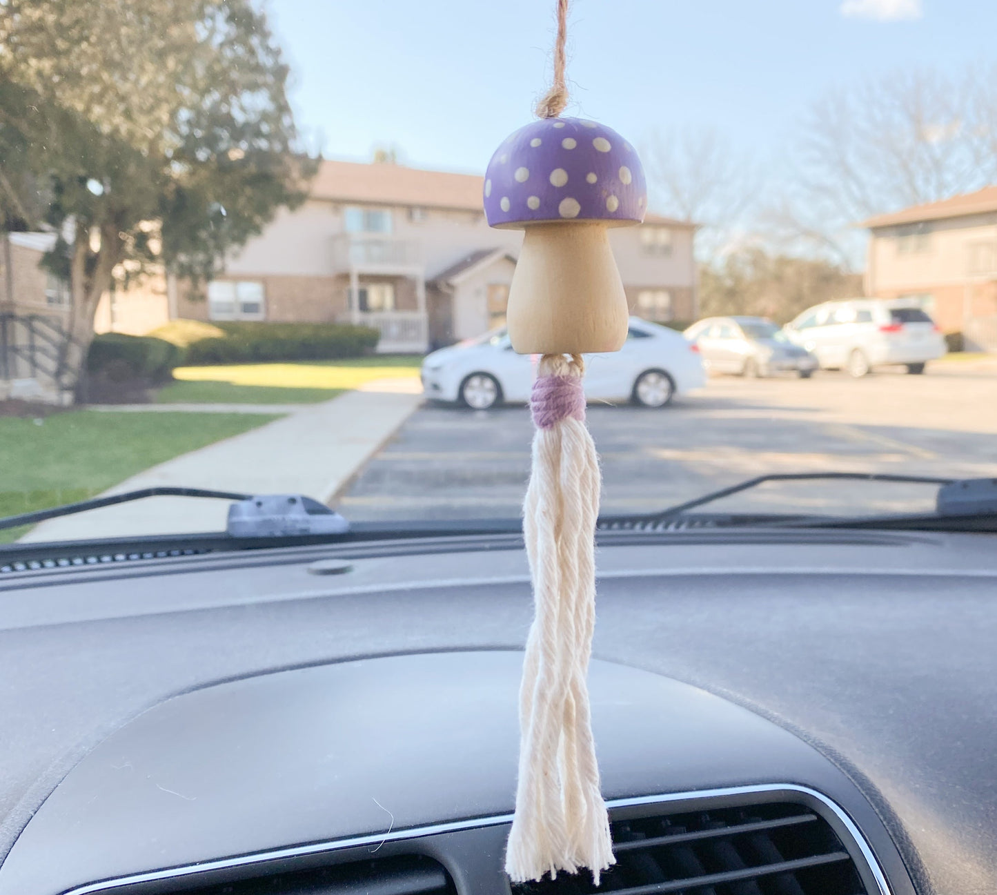 Hand-Painted Wood Mushroom Car Charm