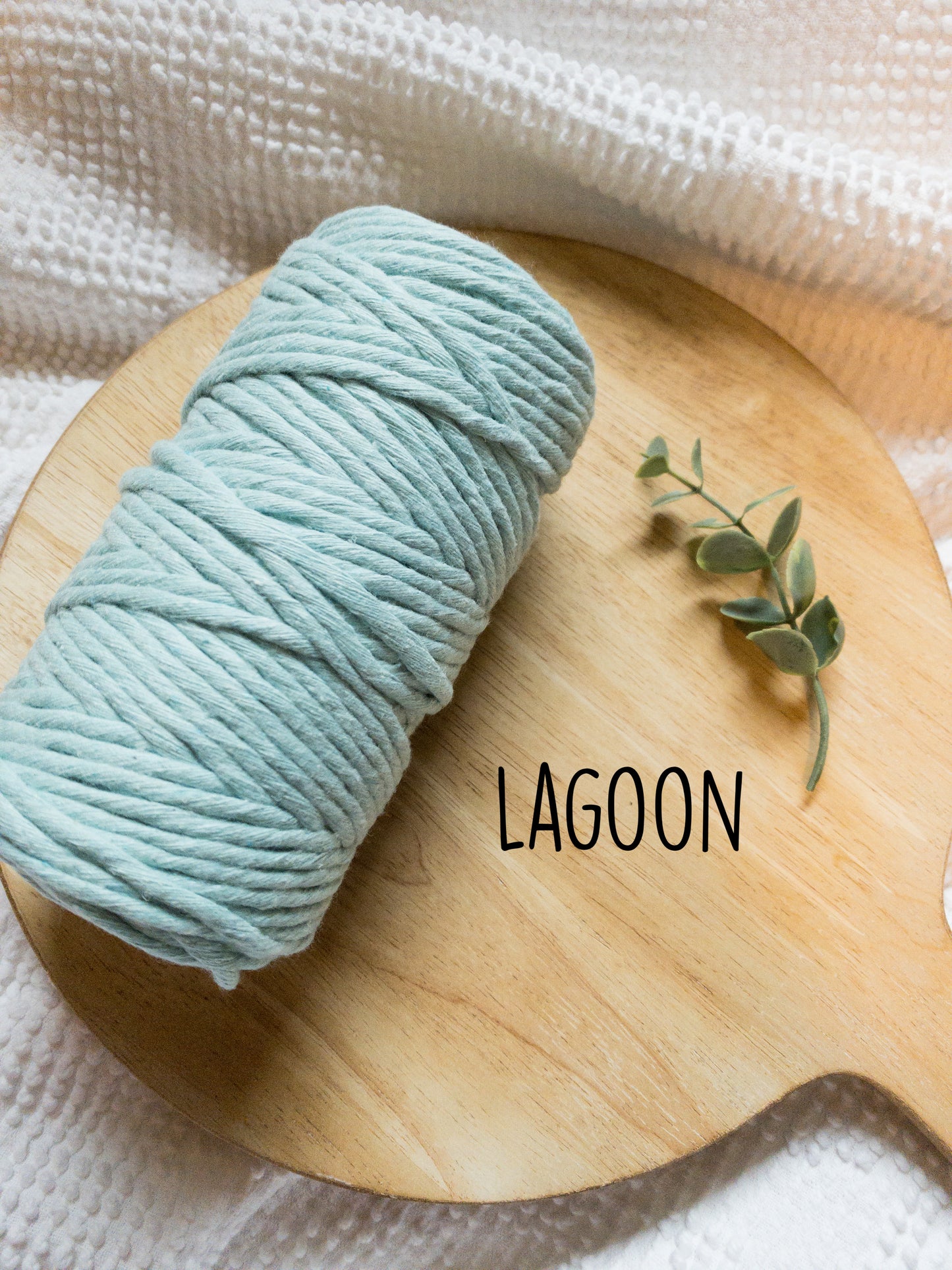 Learn to Macrame | Air Plant Hanger Class | Macrame Workshop | Make and Take Class