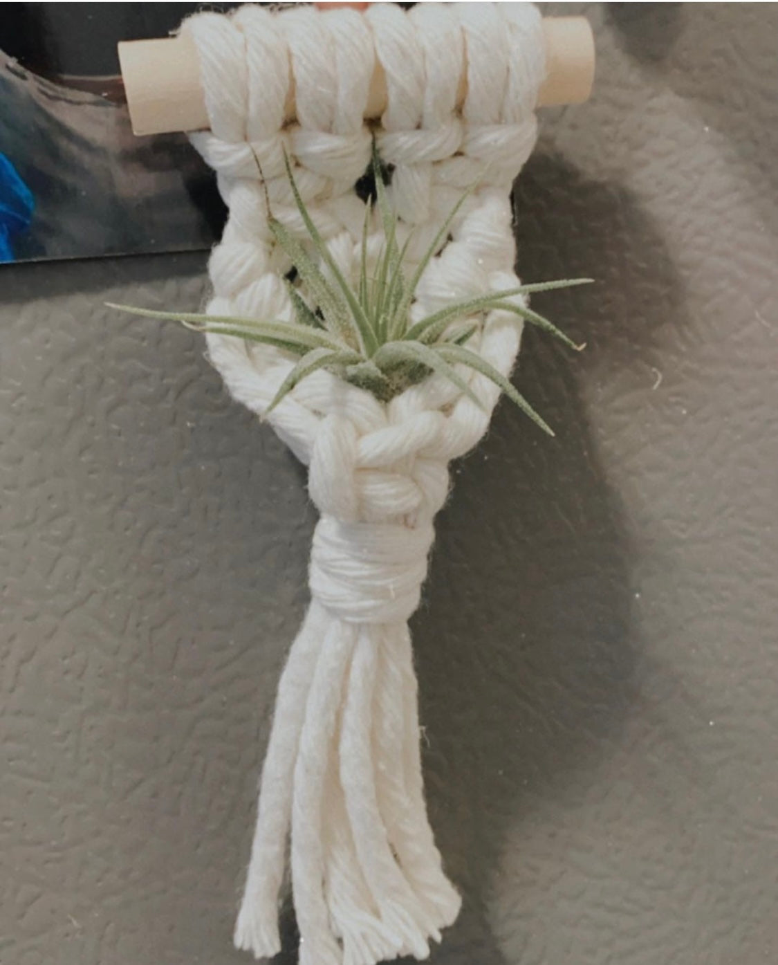 Macrame Air Plant Magnet