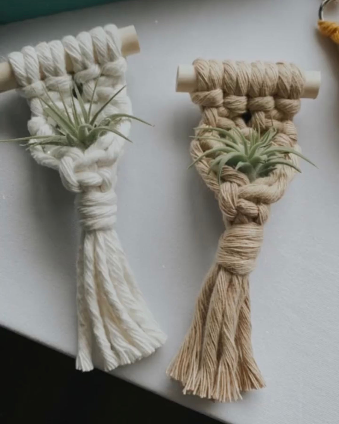air plant magnet Macrame Air Plant Magnet – The Cutting Cottage LLC